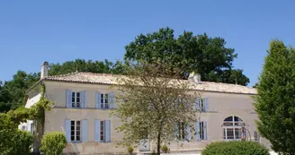 Domaine des Doucins - Eucalyptus