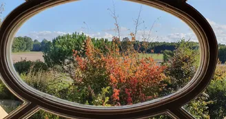 Domaine des Doucins - Eucalyptus