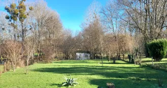 Studio N°5 Les Antilles - Les gîtes de Jonzac