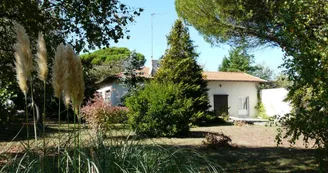Carpentier Marc - N°4 Carpentier Marc - N°4