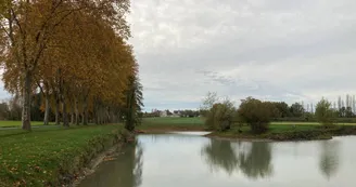 Ouvrard Marie-Paule - Les mésanges