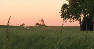 Ouvrard Marie-Paule - Les mésanges