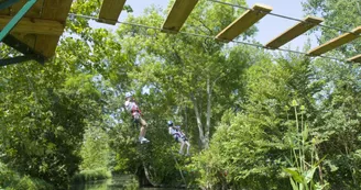 Parcours aventure en hauteur dans les arbres