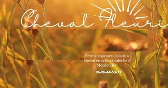 balade à cheval avec la ferme du cheval fleuri