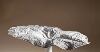 Exposition Esprit Porcelaine