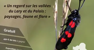Concours photo amateur