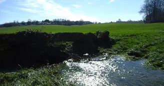 Circuit pedestre Les Maines - N 22 - Ozillac - Haute-Saintonge