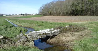 Circuit pedestre Les Maines - N 22 - Ozillac - Haute-Saintonge 2