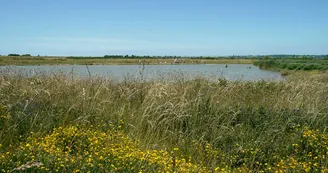Rayonnantes de Haute Saintonge N5 et N6 Jonzac - Mirambeau - Vitrezay Gironde 12
