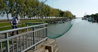 Rayonnante N3 St Georges Antignac St Genis de Saintonge Port Maubert Gironde 7