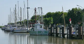 Rayonnante N3 St Georges Antignac St Genis de Saintonge Port Maubert Gironde 8