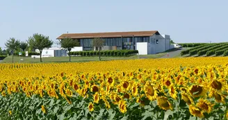 Rayonnantes de Haute-Saintonge N4 Jonzac - Archiac Vignoble du Cognac vignes 5
