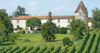 Rayonnantes de Haute-Saintonge N4 Jonzac - Archiac Vignoble du Cognac vignes 6