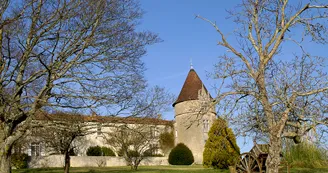 Rayonnantes de Haute-Saintonge N4 Jonzac - Archiac Vignoble du Cognac vignes 7