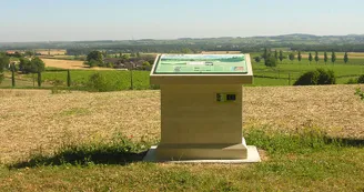 Rayonnantes de Haute-Saintonge N4 Jonzac - Archiac Vignoble du Cognac vignes 8