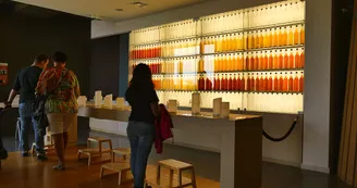 Rayonnantes de Haute-Saintonge N4 Jonzac - Archiac Vignoble du Cognac vignes 4