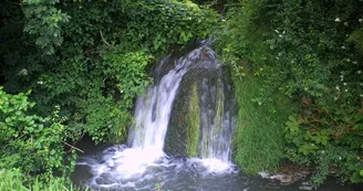Rayonnantes de Haute-Saintonge N8 Jonzac - Chevanceaux - La Voie Verte 3 Monts 4