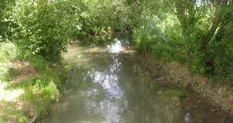Rayonnantes de Haute-Saintonge N8 Jonzac - Chevanceaux - La Voie Verte 3 Monts 3