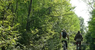 Rayonnantes de Haute-Saintonge N8 Jonzac - Chevanceaux - La Voie Verte 3 Monts 12