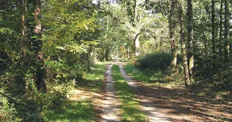 Circuit VTT Les circuits couverts et decouverts N6 St Ciers du Taillon 2 Circuit VTT Les circuits couverts et decouverts N6 St Ciers du Taillon 2
