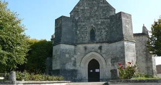 Circuit VTT des distilleries N18 Archiac Vignoble du Cognac Lonzac vignes 6