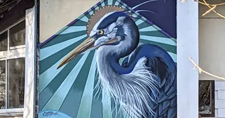 Héron en bord de Seugne