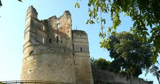 Château Médiéval de Montguyon
