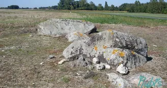 Dolmen pierre à Cerclet